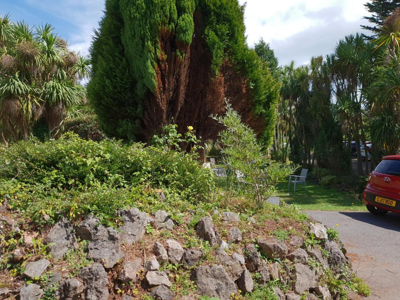 Hotel Sherwood Palm